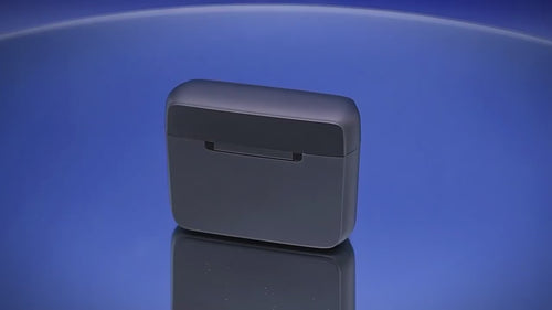 DM5 Mikrofon mit Ladeetui